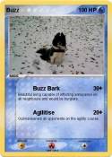 Buzz