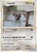 l'écureuil