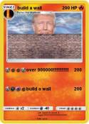 build a wall