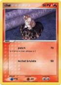 chat