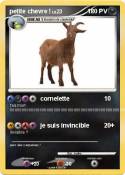 petite chevre