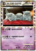 les chats morte
