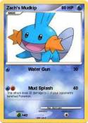 Zach's Mudkip