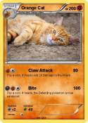 Orange Cat