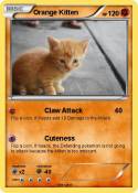 Orange Kitten