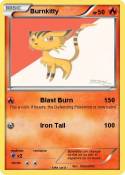Burnkitty