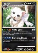 Catollgo