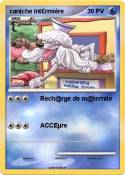 caniche int£rmi