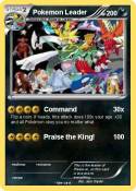 Pokemon Leader