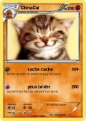 ChinaCat
