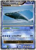Baleine à