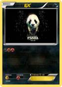 panda