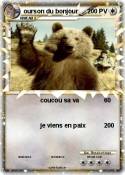 ourson du bonjo