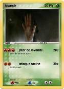 lavande