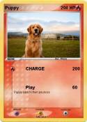 Puppy