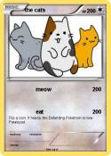 the cats