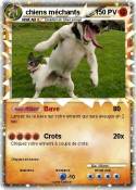 chiens