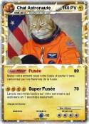 Chat Astronaute