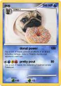 pug
