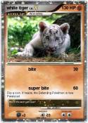 white tiger