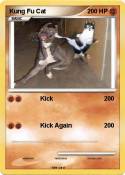 Kung Fu Cat