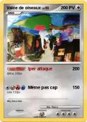 Valée de oiseaux