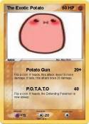 The Exotic Pota