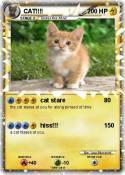 CAT!!!!