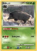 Dzik