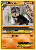 Yorkie