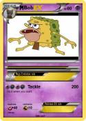 Bob