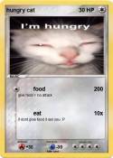 hungry cat