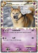 Husky