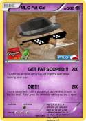 MLG Fat Cat