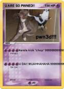U ARE SO PWNED!