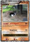minou