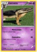 Cancodrilo