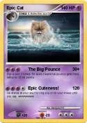 Epic Cat