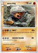 army dog