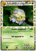 FLOLOWER lvl x