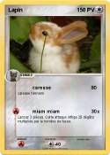 Lapin