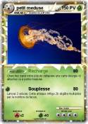 petit meduse
