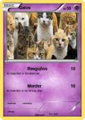 Gatos