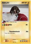 Bailey EX