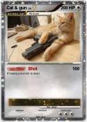 Cat & gun