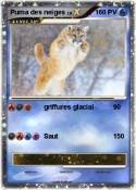 Puma des neiges