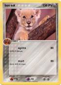 lion sot