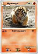 Mignon tigre