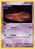 Perro