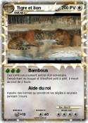 Tigre et lion